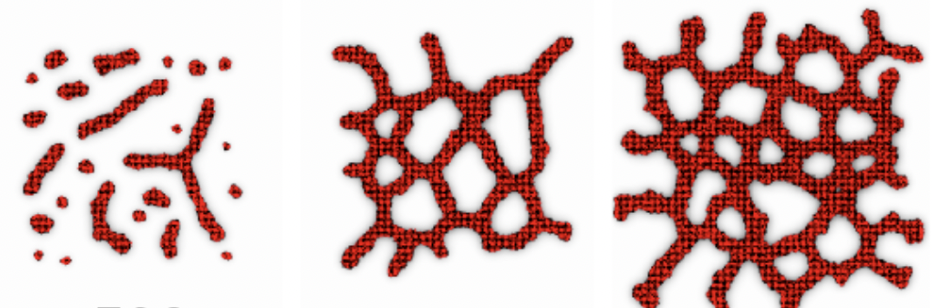 angiogenesis