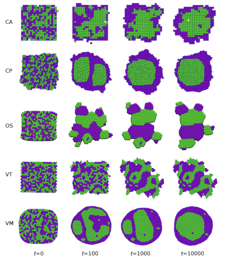 cell sorting