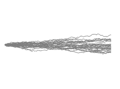 bias 0.5 motion